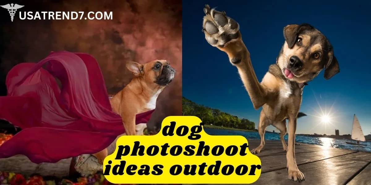 dog photoshoot ideas outdoor