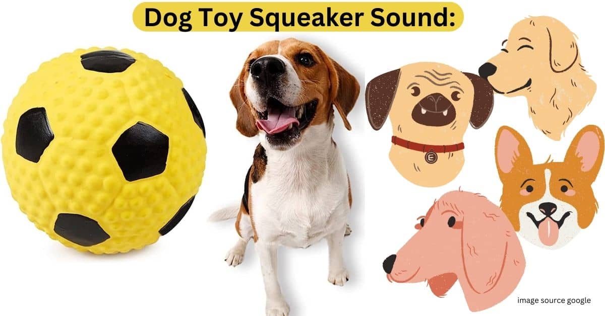 Dog Toy Squeaker Sound