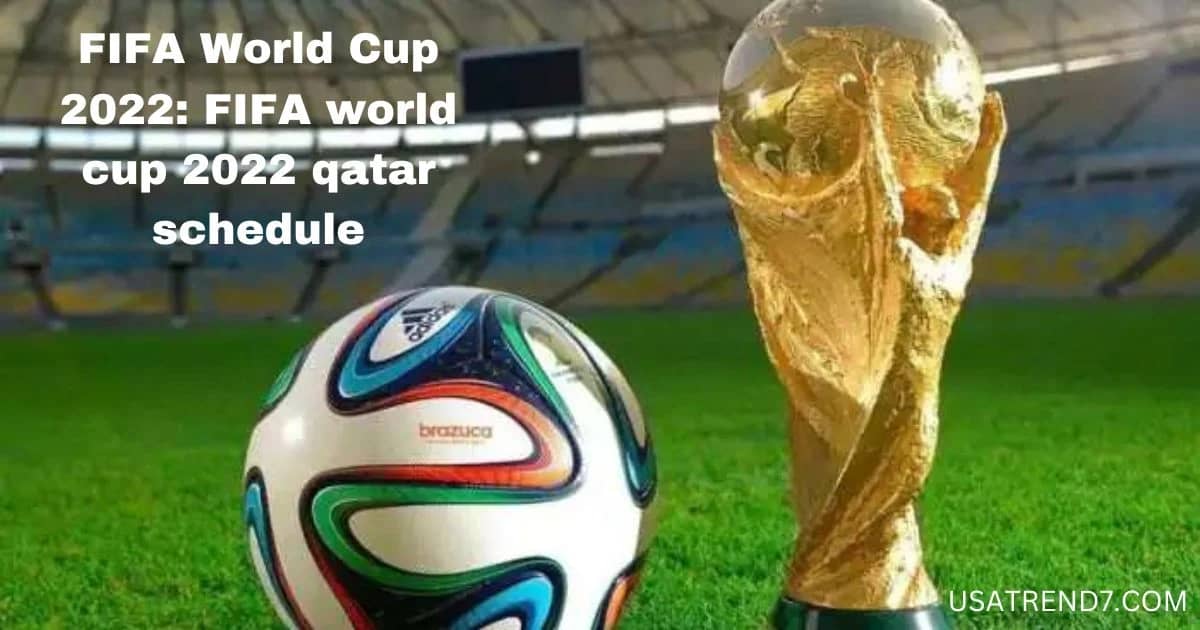 FIFA World Cup 2022: fifa world cup 2022 qatar schedule