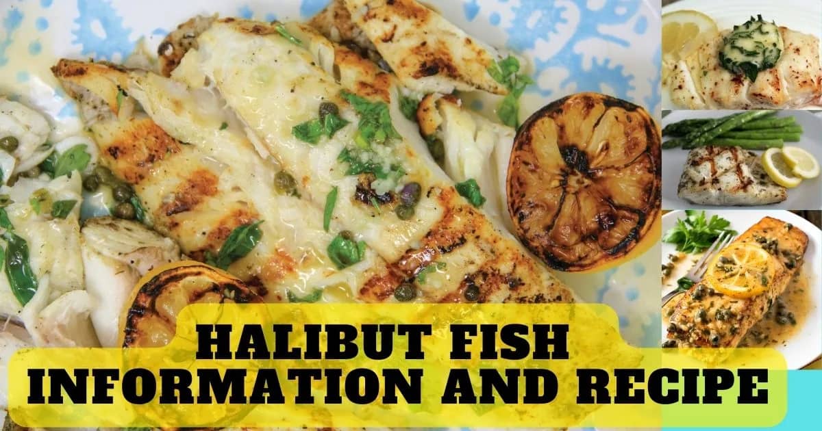 Halibut fish Information And Recipe