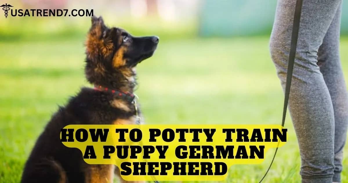 how to potty train a puppy german shepherd