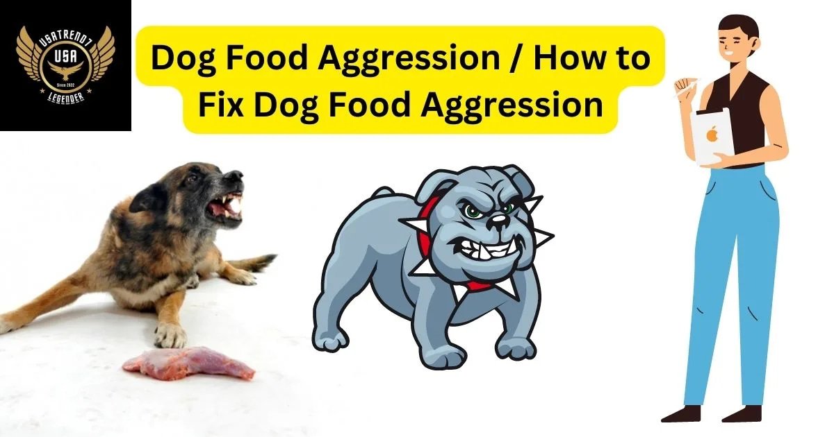 Dog Food Aggression / How to Fix Dog Food Aggression