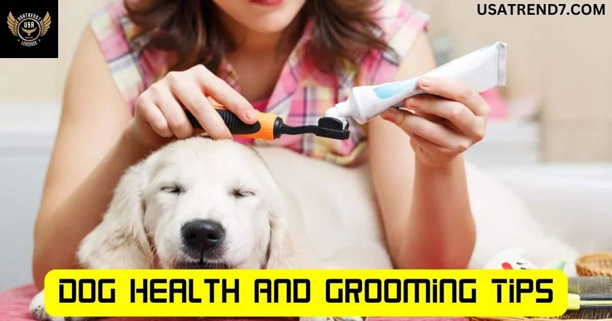 dog health and grooming tips- how to groom a dog at home