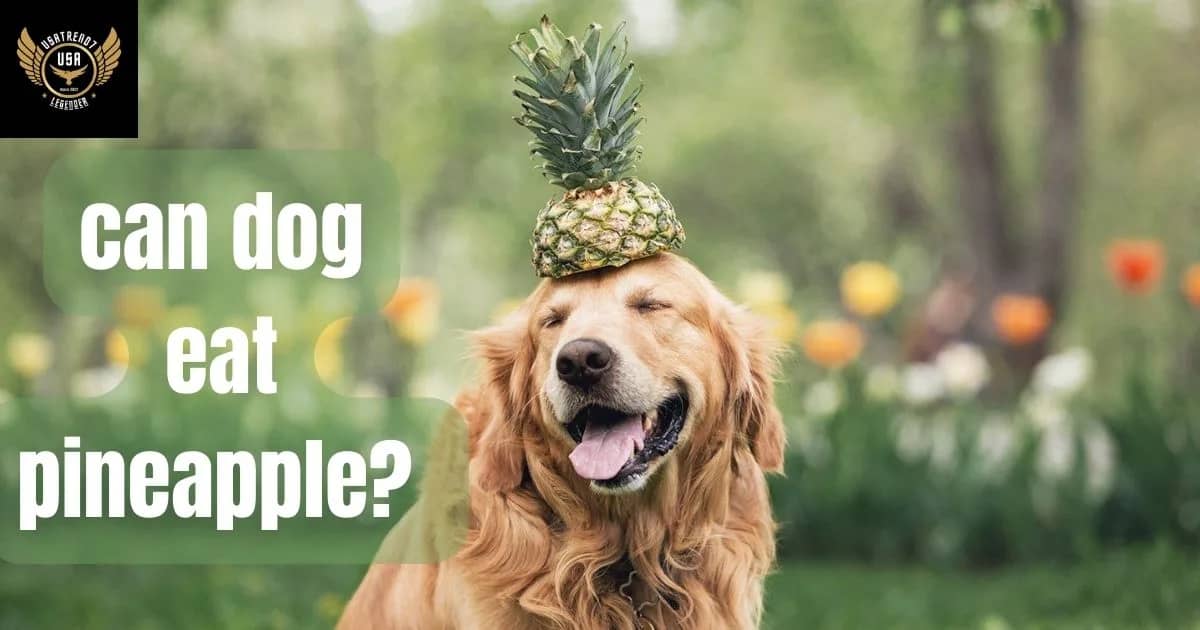 can dog eat pineapple