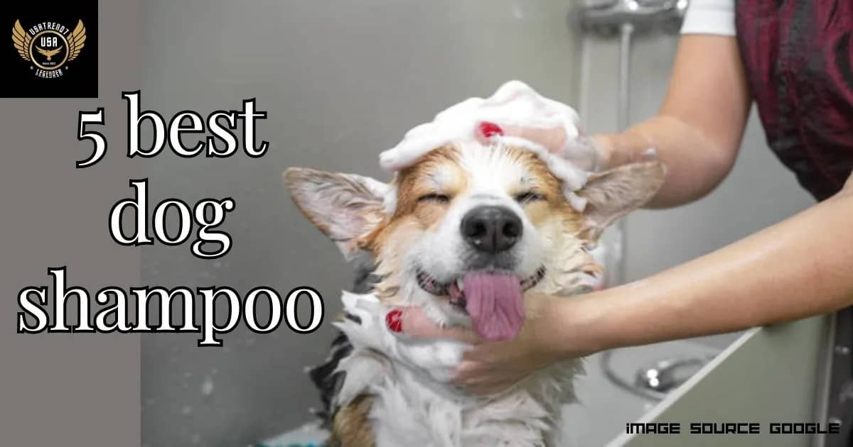 5 Best Dog Shampoo