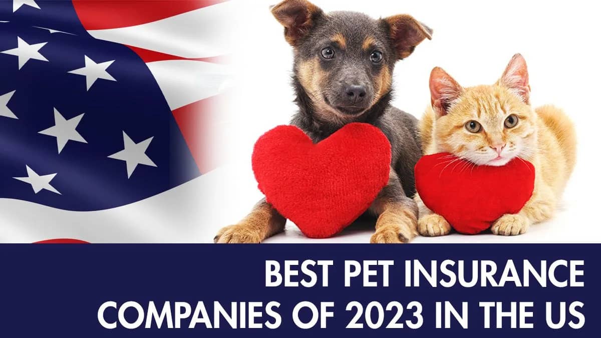 TOP 9 Dog Health Insurance In USA 2023